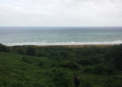 20140922 104630 400x284